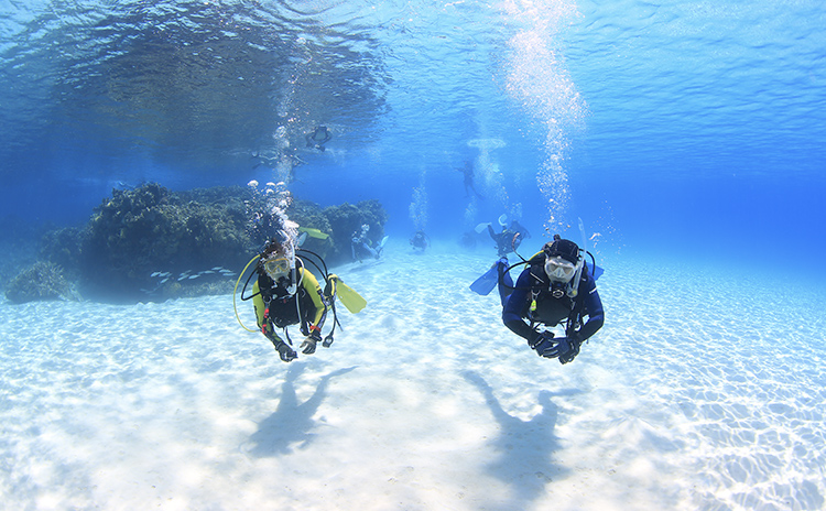 タイビングを楽しむダイバー