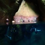 幻想的な洞窟ダイビング！