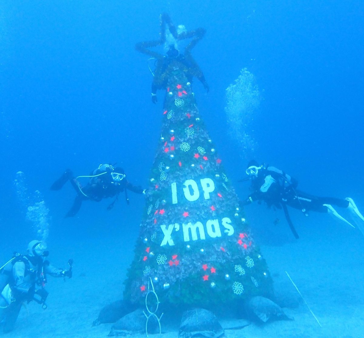 IOP、クリスマスツリー