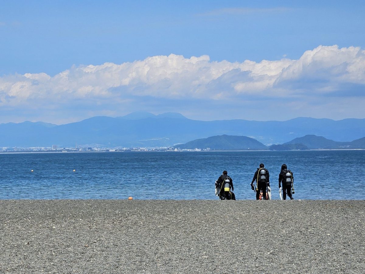 ダイビング、大瀬崎