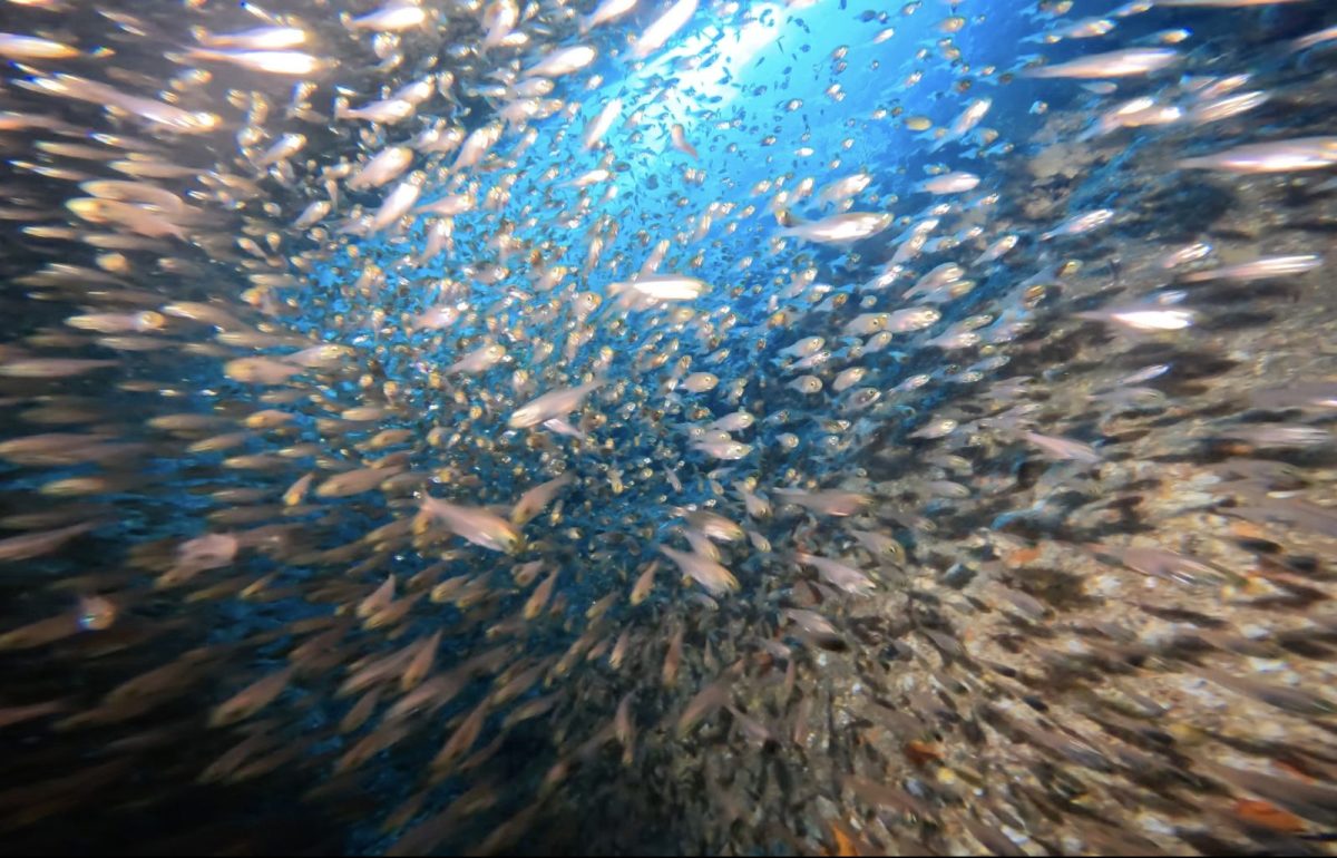 洞窟　銀河　宇宙