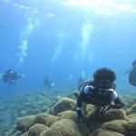 西伊豆・井田ブルーを堪能🐠💙