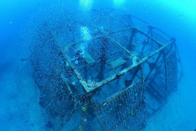 ダイビング、初島