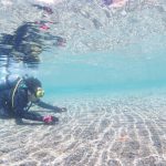 獅子浜の浅場が、まるで沖縄のよう🏝！