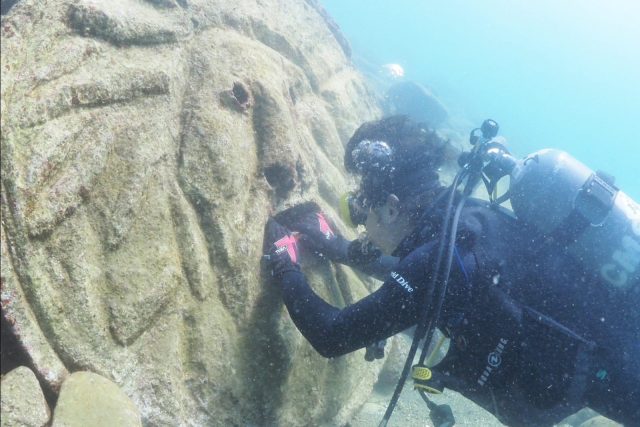 獅子浜、ダイビング