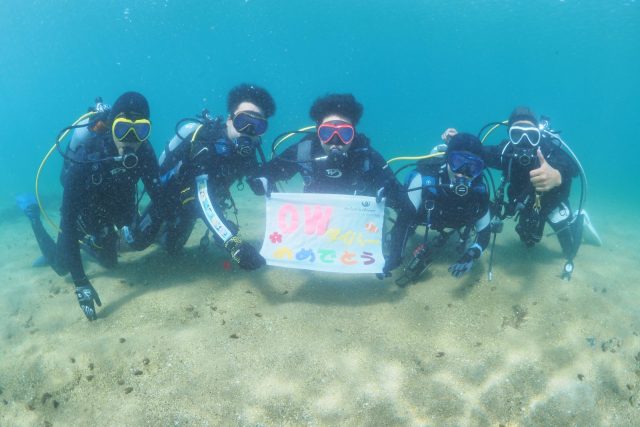 ダイビング、ライセンス、平沢