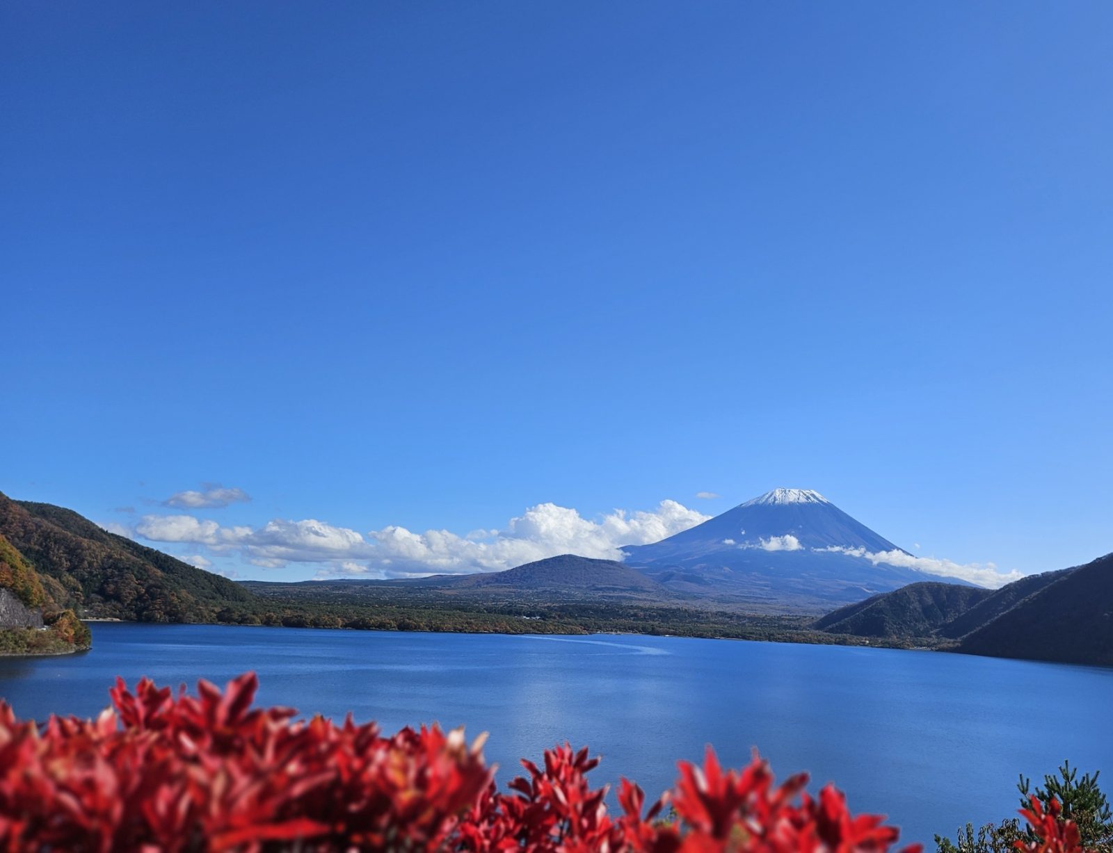 ダイビング、本栖湖、富士山