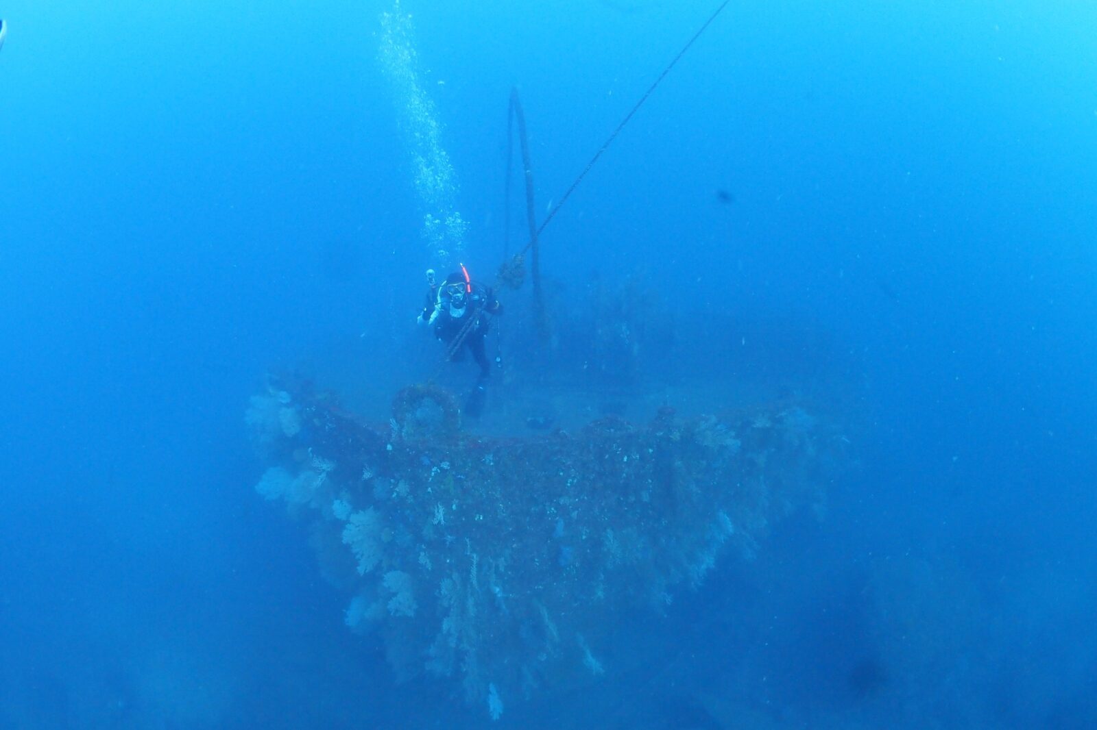 熱海、沈船、ダイビング