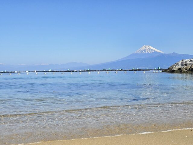 ダイビング、平沢