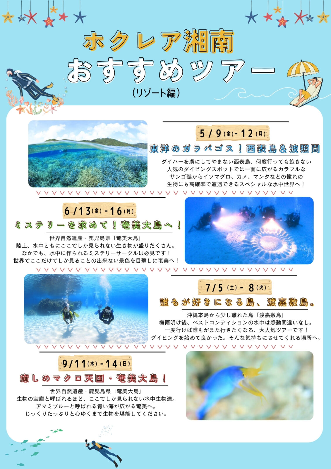 ダイビング,ツアー,東京,都内,神奈川,横浜,体験ダイビング