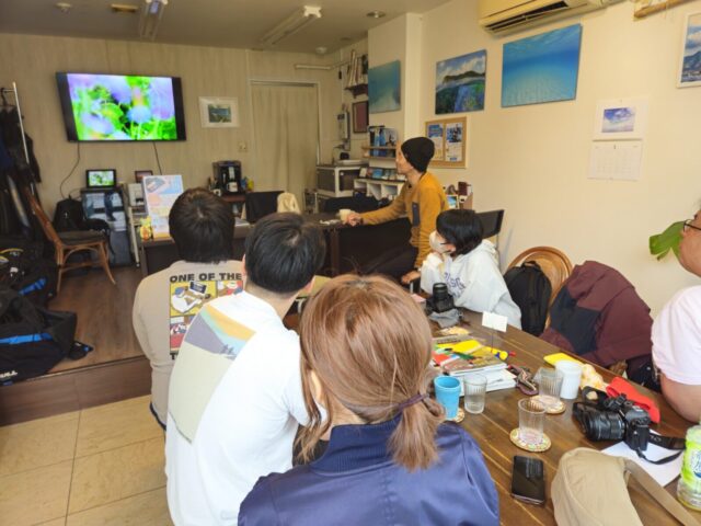 ダイビング