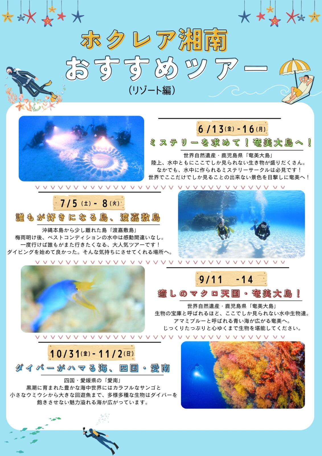 ダイビング,ツアー,東京,都内,神奈川,横浜,体験ダイビング