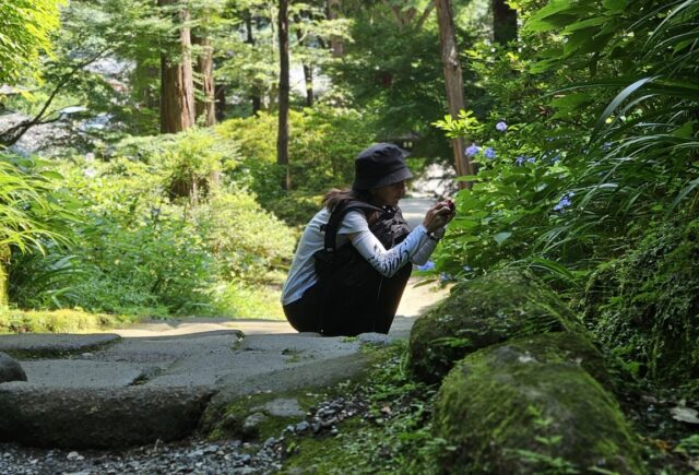 水中写真
