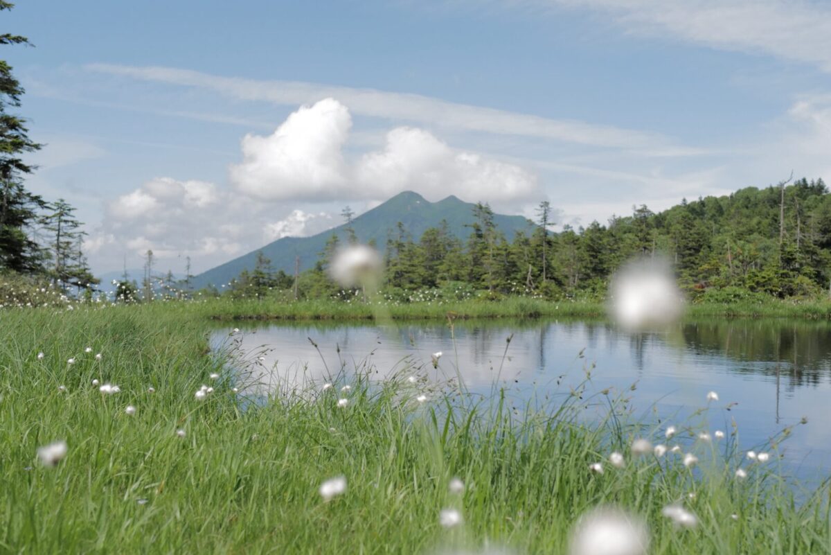 アヤメ平　尾瀬　国立公園