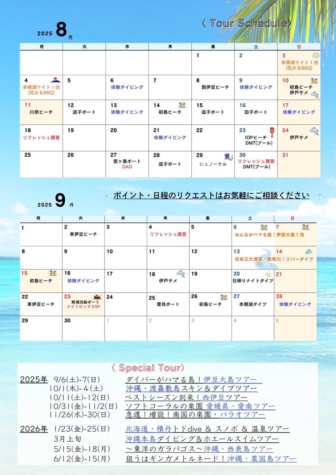 ダイビング、ツアースケジュール