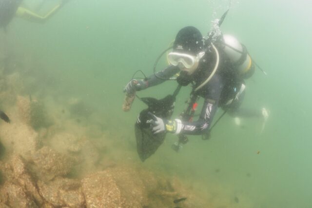 ダイビング,DAD,PADI