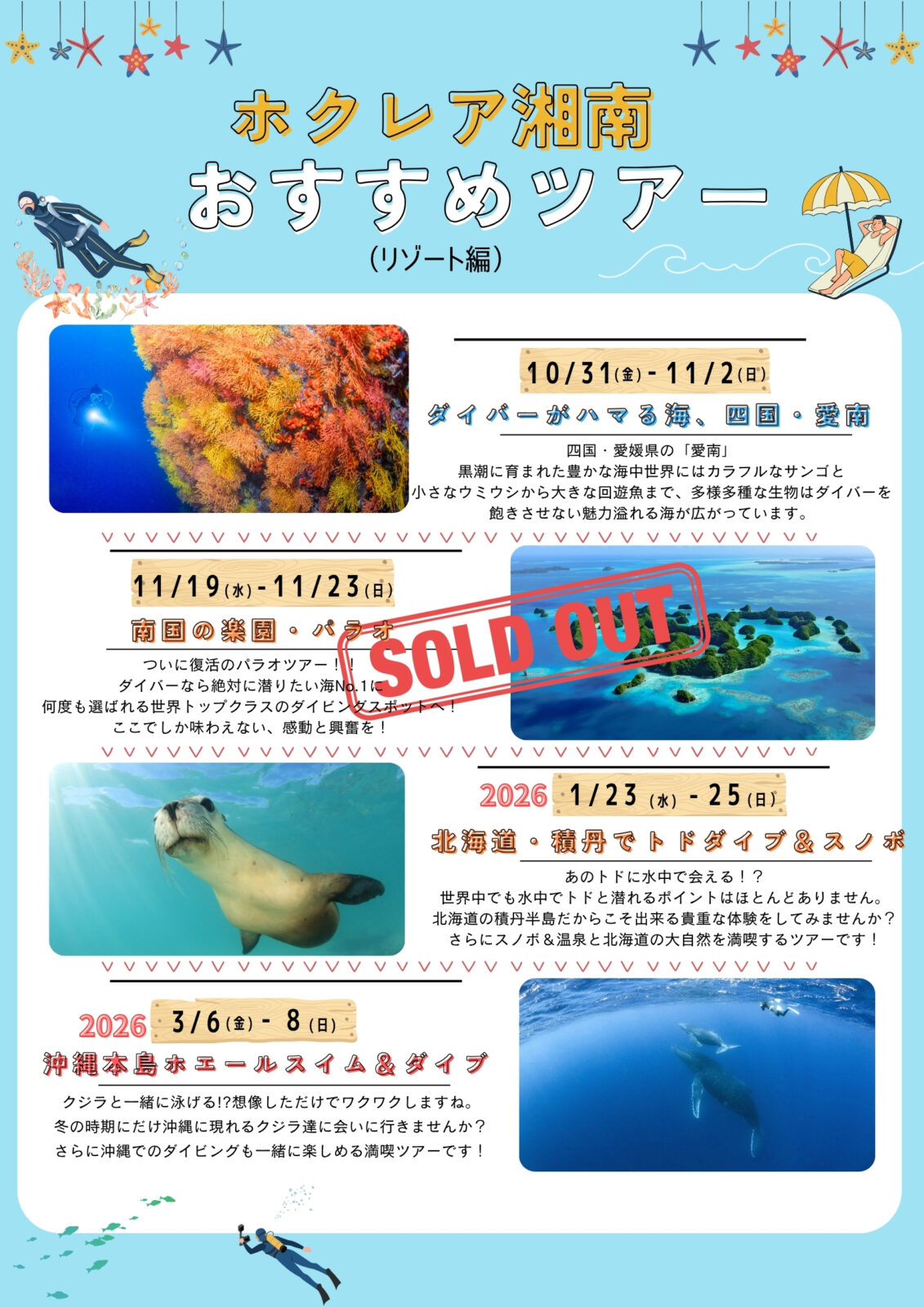 ダイビング,ツアースケジュール