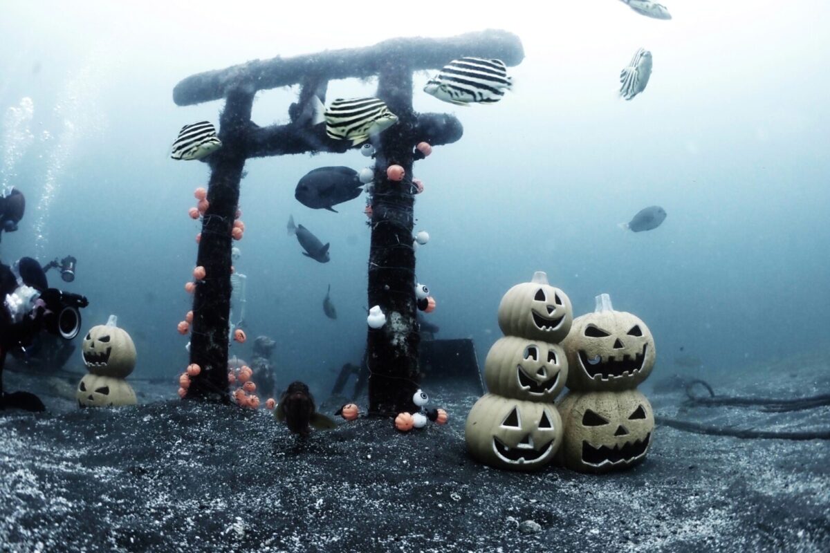 ダイビング,大瀬崎