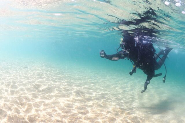 ダイビング,体験ダイビング,平沢