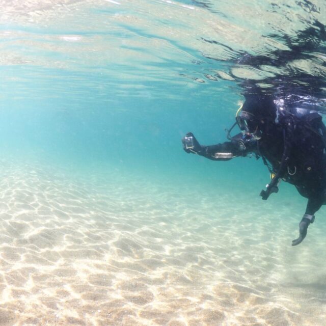 ダイビング,体験ダイビング,平沢