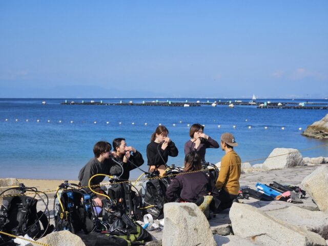 ダイビング,平沢,体験ダイビング