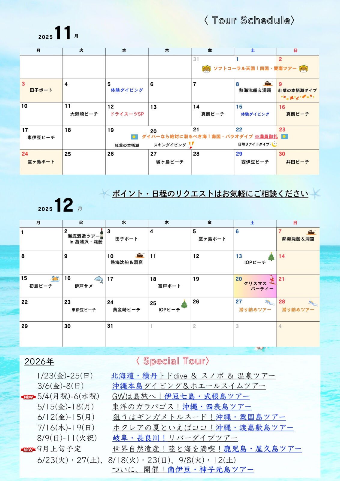 ダイビング,ツアースケジュール