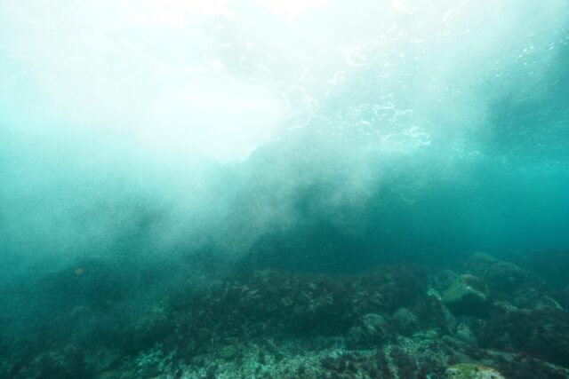 冬　ダイビング　伊豆