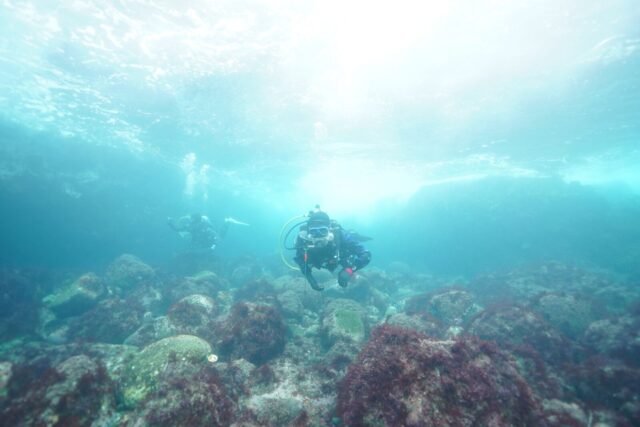 ドライスーツ　快適　PADI