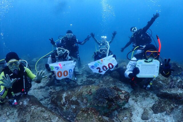 愛媛,愛南,リゾート,ツアー,ダイビング,記念,お祝い