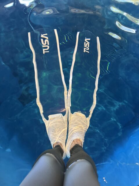 スキンダイビング,ダイビング,シュノーケル,神奈川,静岡