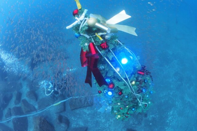 ダイビング,大瀬崎