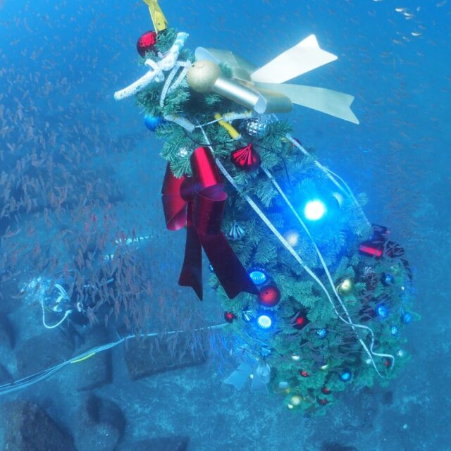 ダイビング,大瀬崎