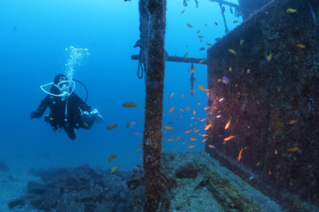 ダイビング,大瀬崎