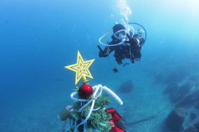 ダイビング,大瀬崎