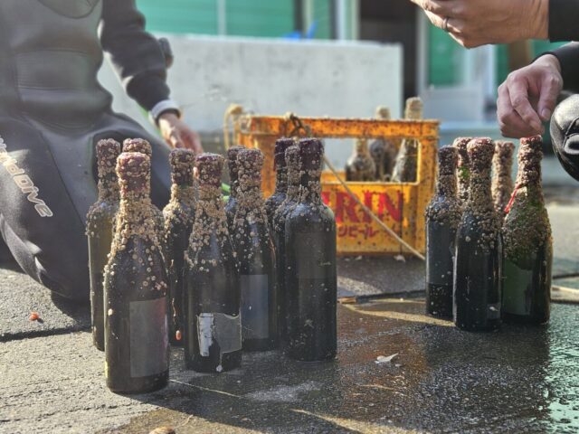 ダイビング,海底