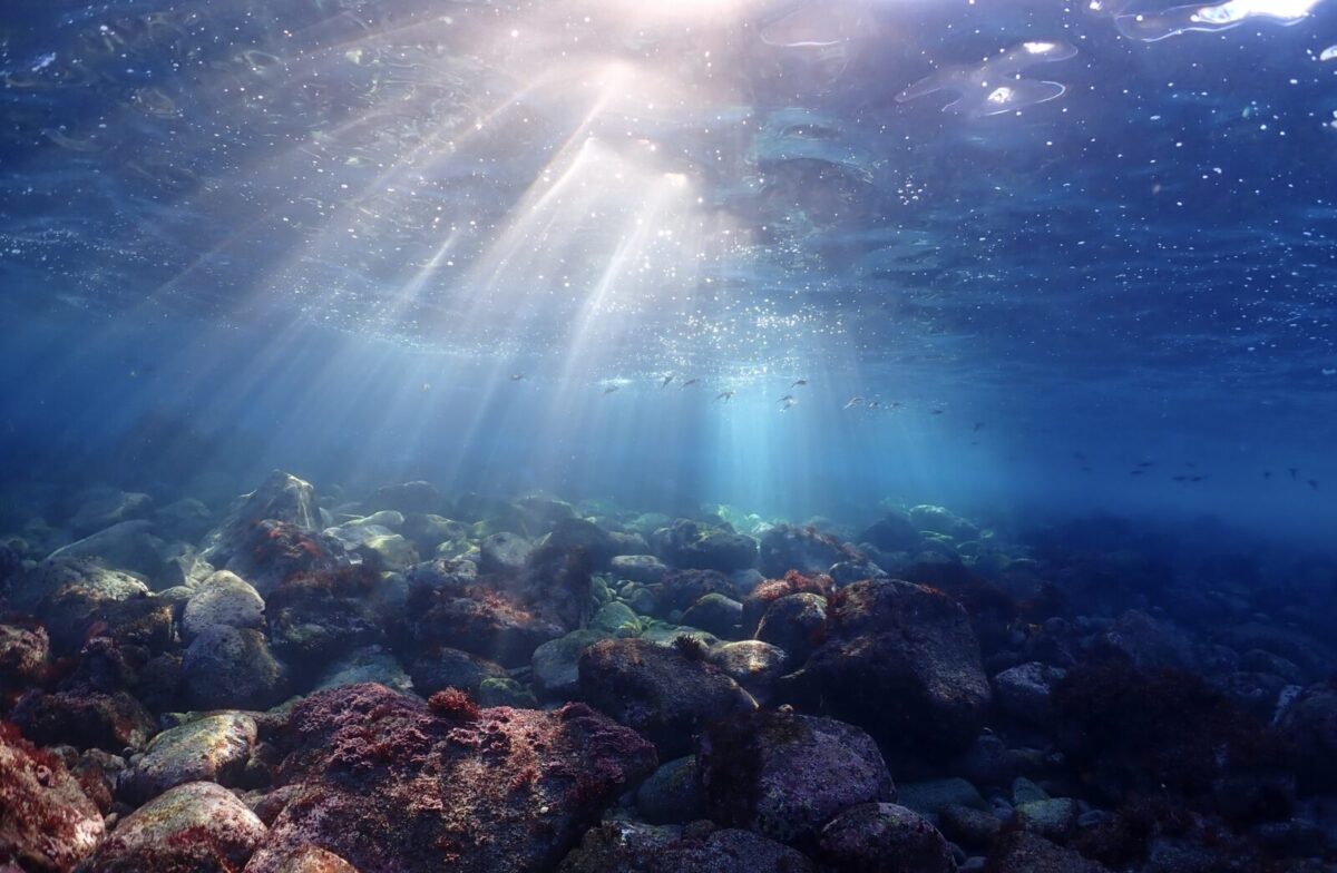 伊豆　ダイビング