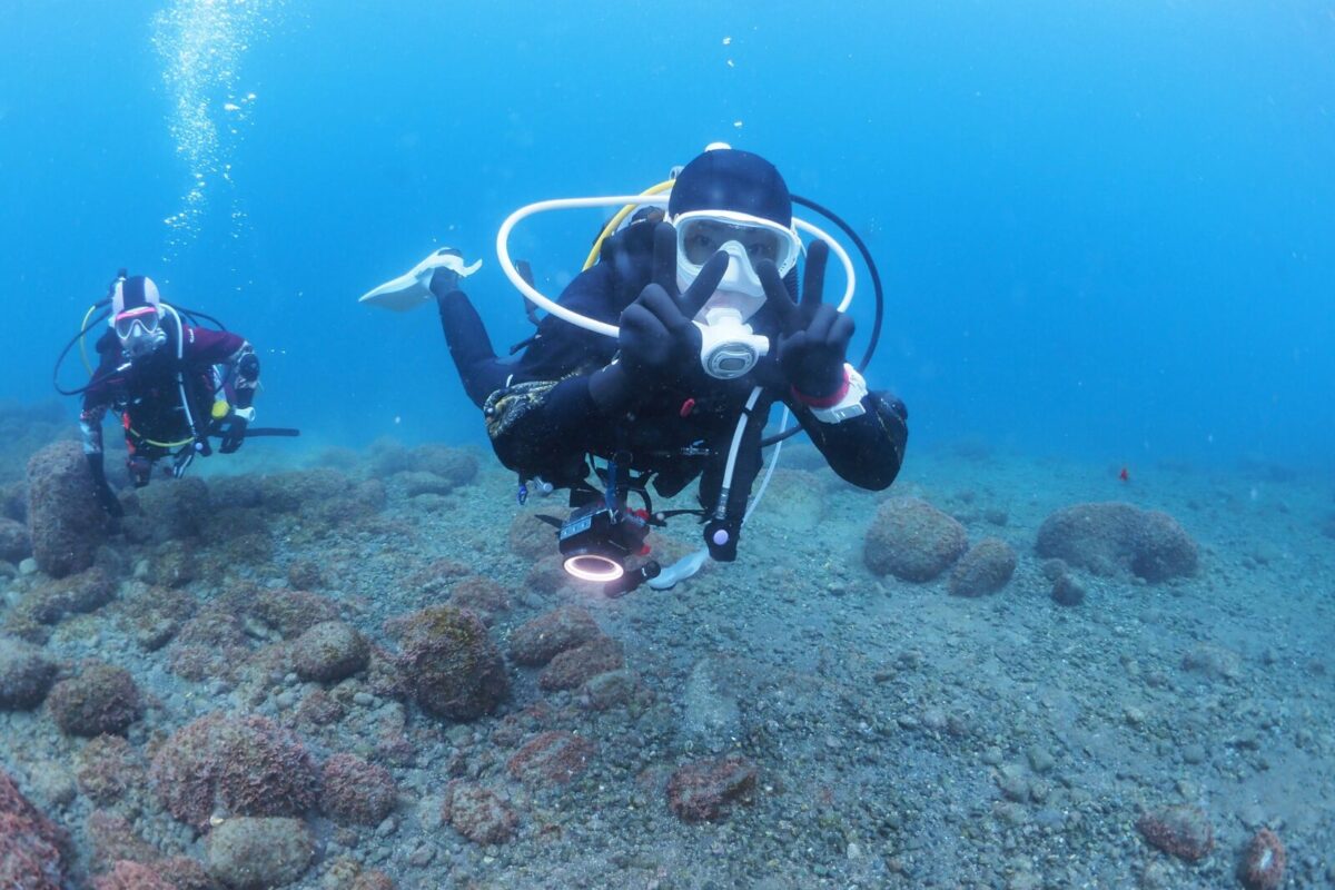 AOW ライセンス　PADI