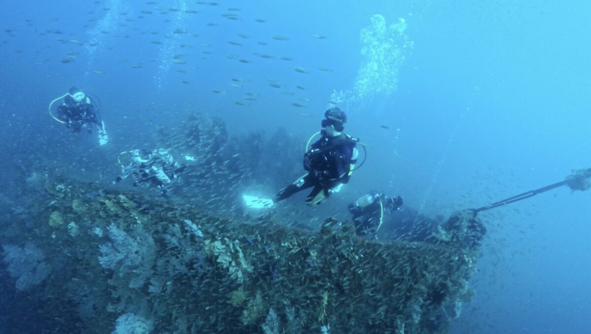 ダイビング,ファンダイビング,ライセンス,講習,資格取得,熱海,沈船,エンリッチ