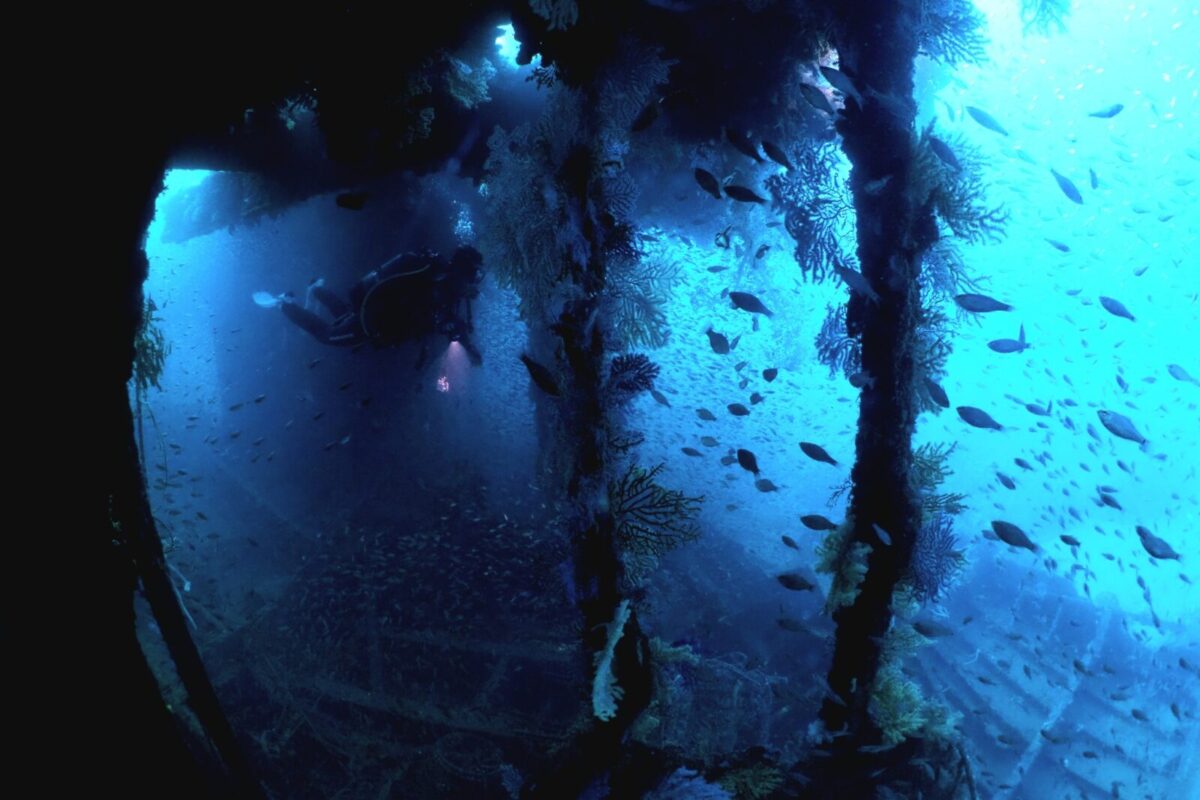 ダイビング,沈没船