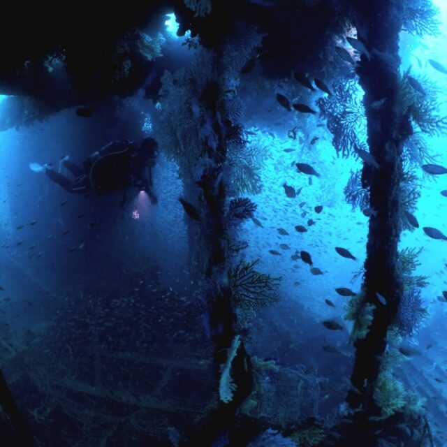 ダイビング,沈没船