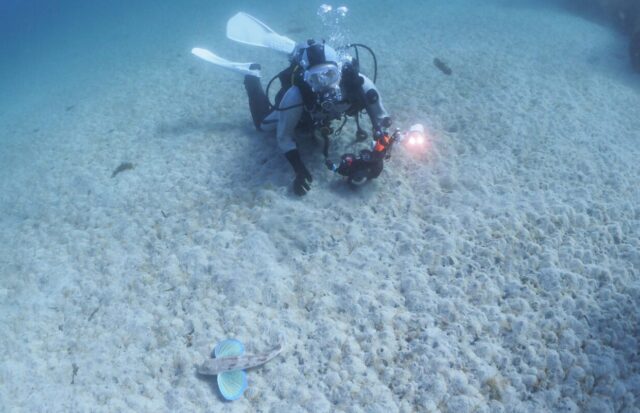 ダイビング,スキューバダイビング