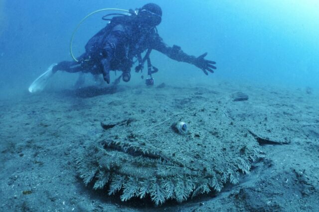 ダイビング,スキューバダイビング