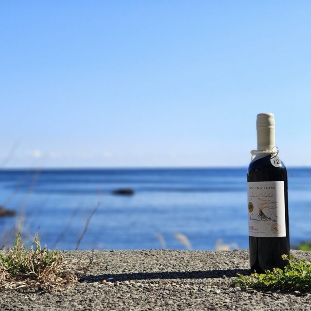 ダイビング,海底熟成,菖蒲沢