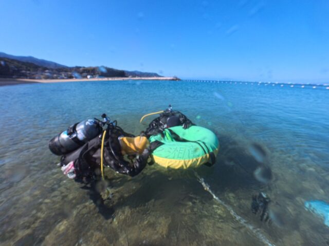 ダイビング,体験ダイビング,伊豆