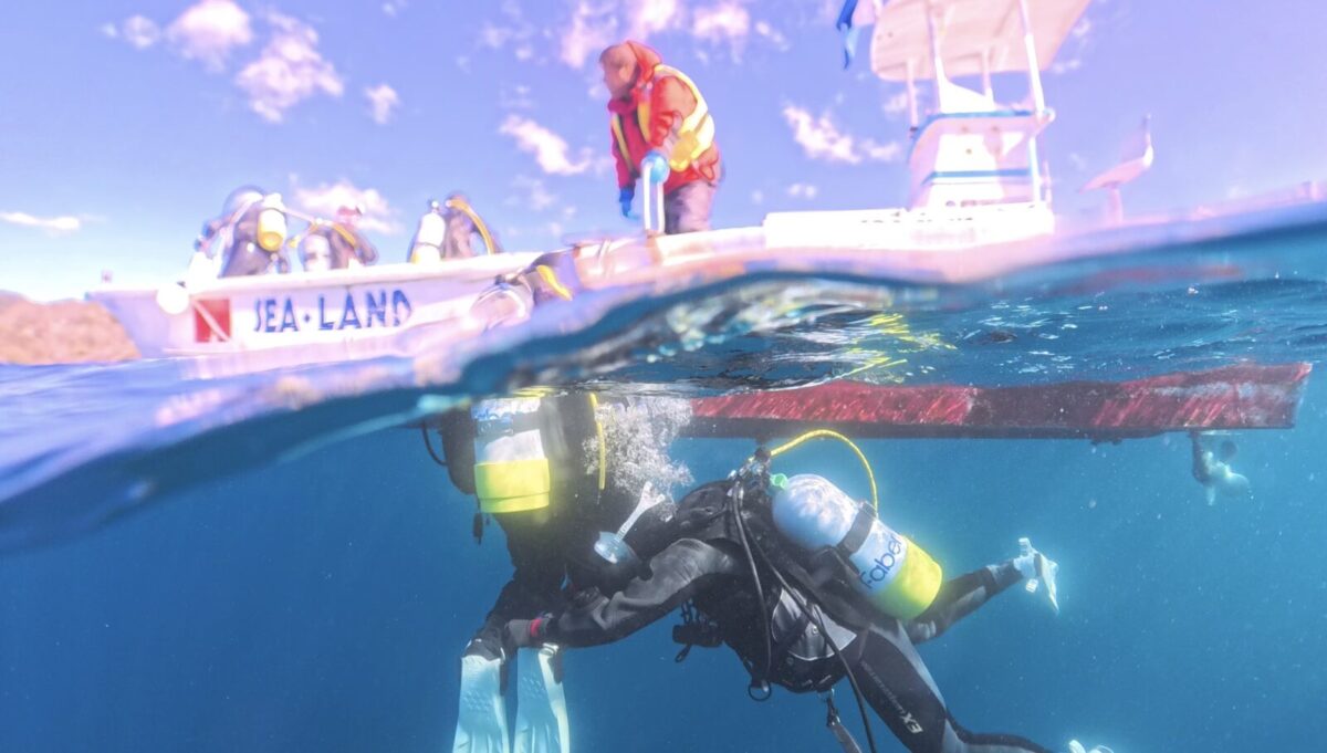 ダイビング,ファンダイビング,ライセンス,講習,資格取得,西伊豆,田子