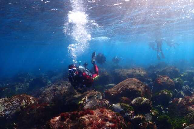 冬の海　デトックス