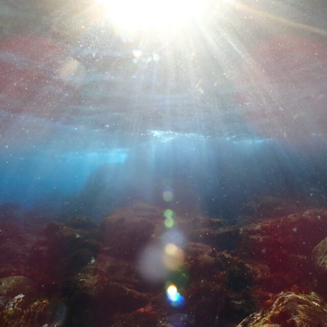 ダイビング　キレイ　癒し