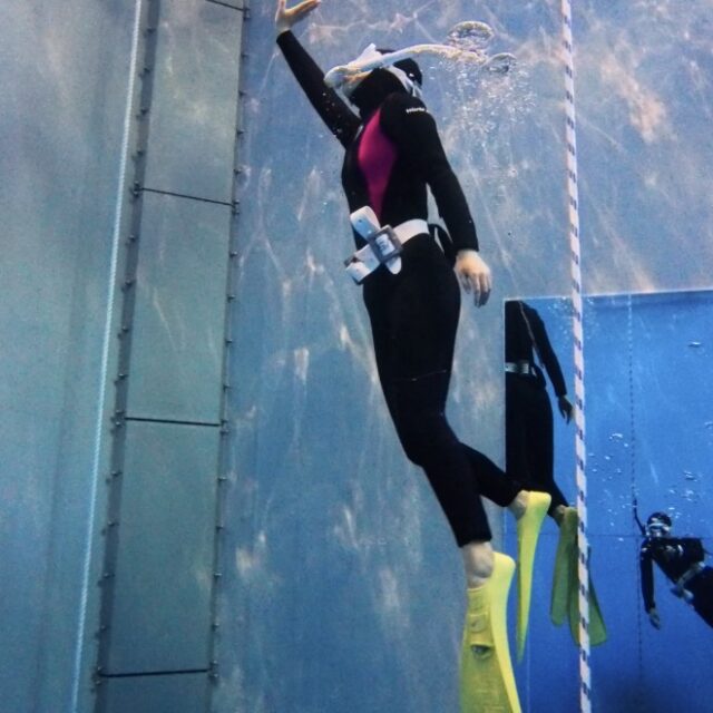 スキンダイビング,ダイビング,シュノーケル,神奈川,静岡