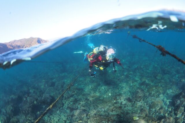 ダイビング,川奈,スキューバダイビング