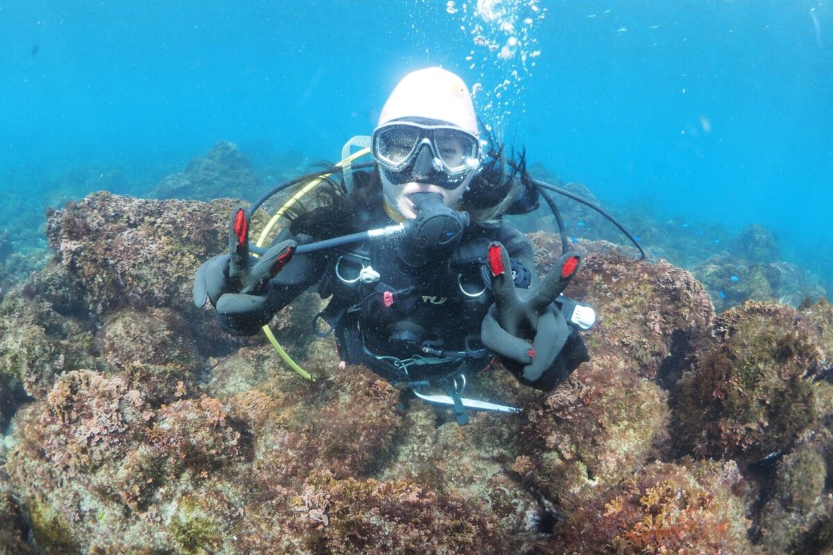 ダイビング,体験ダイビング